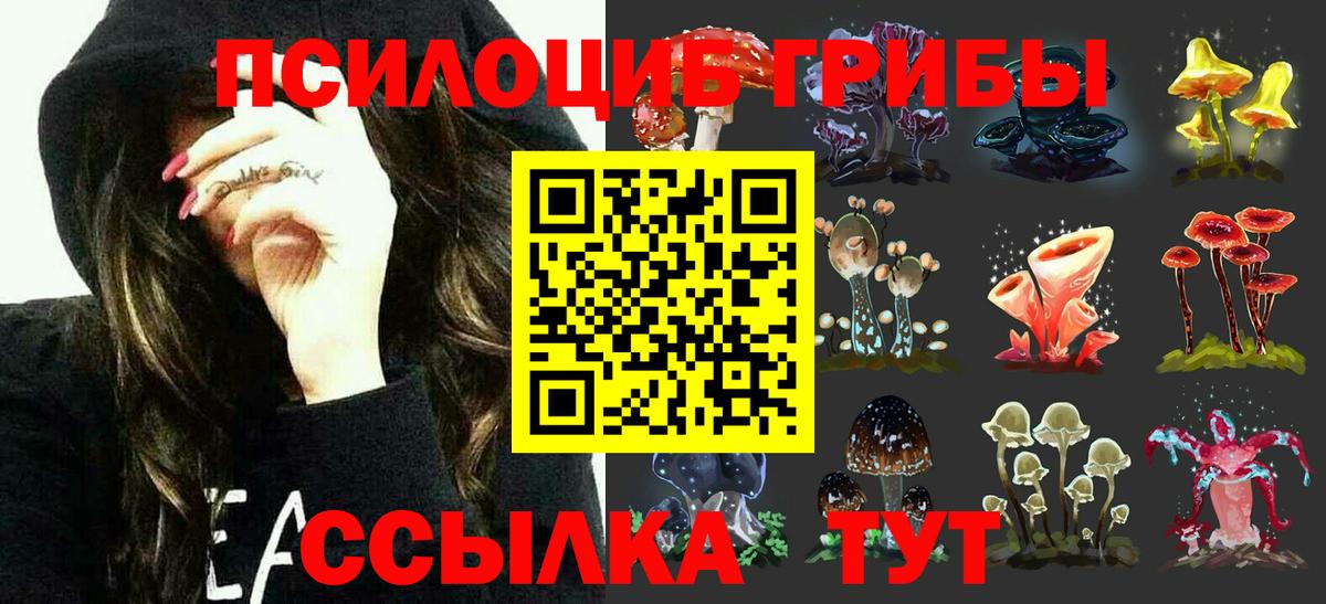 Южно-Сахалинск  Галлюциногенные грибы GOLDEN TEACHER  Вход с VPN 
